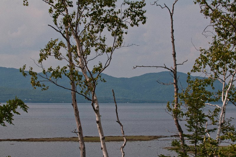 20100721_154103 Nikon D300.jpg - Restigouche River.  Looking from New Brunswick to Quebec
